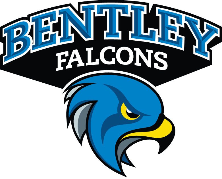 Bentley Falcons 2013-Pres Secondary Logo diy fabric transfer